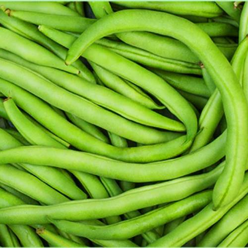 beans french - 250gm