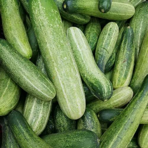Cucumber Salad 250gm